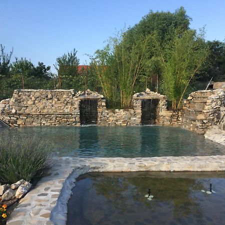 Country Spa Retreat Snagov Exterior photo The Roman bath