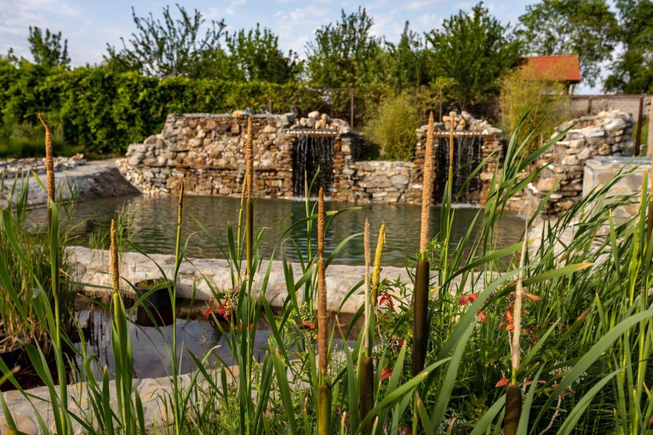 Country Spa Retreat Snagov Exterior photo The River at the Living Prairie