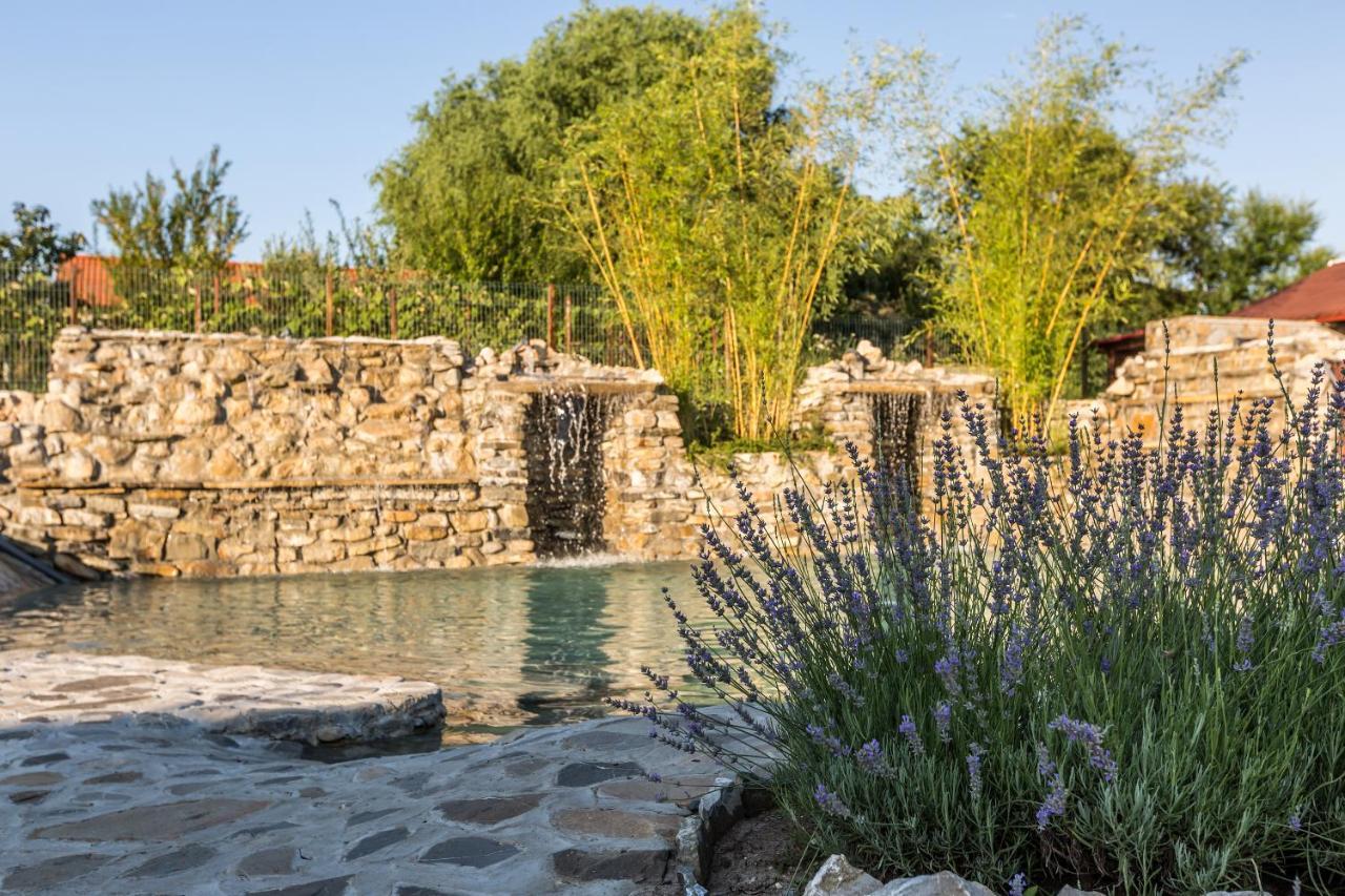 Country Spa Retreat Snagov Exterior photo The fountain at the entrance of the park
