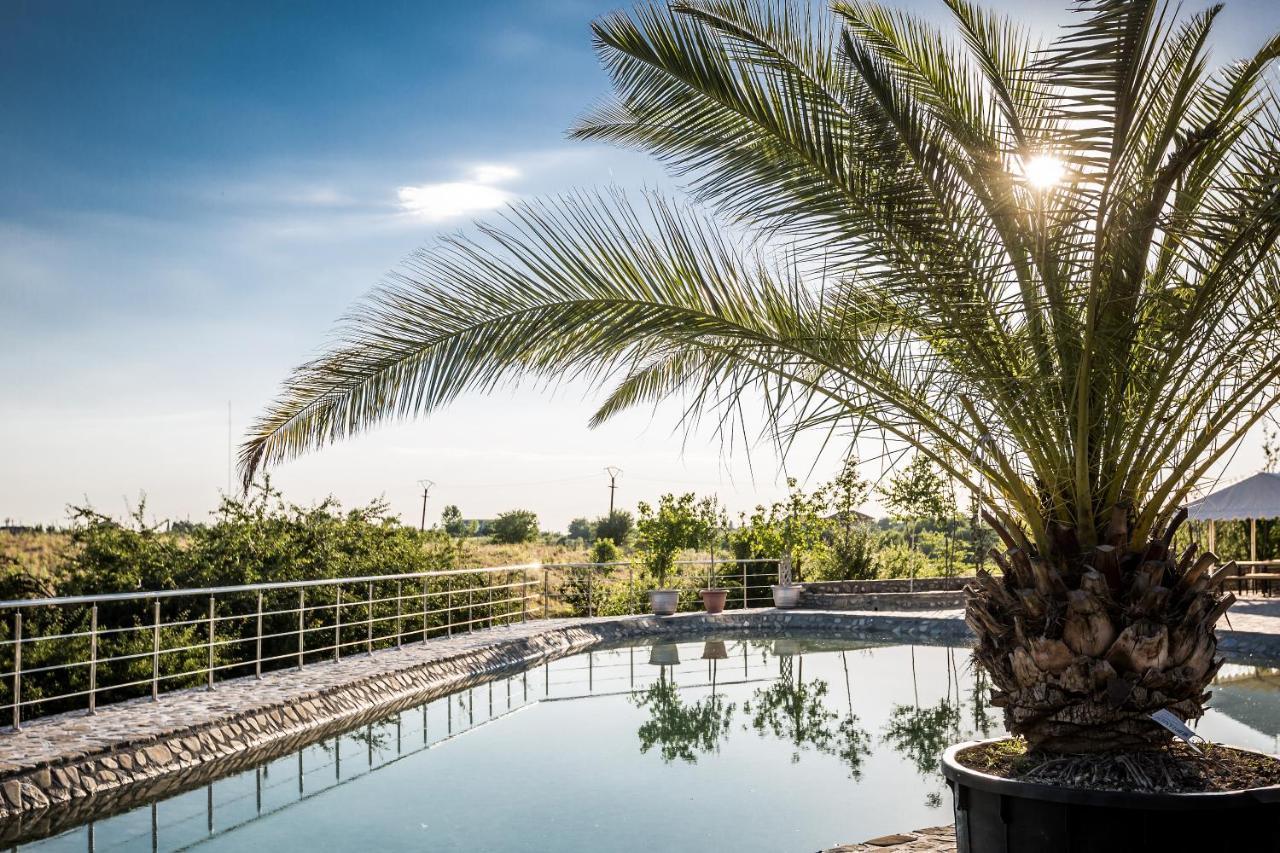 Country Spa Retreat Snagov Exterior photo The pool at the hotel